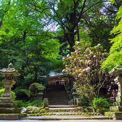 美奈宜神社［荷原］