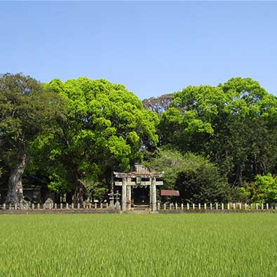 宮野神社