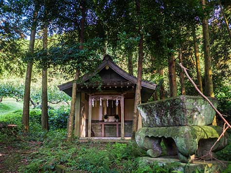 麻氐良布神社［下宮］