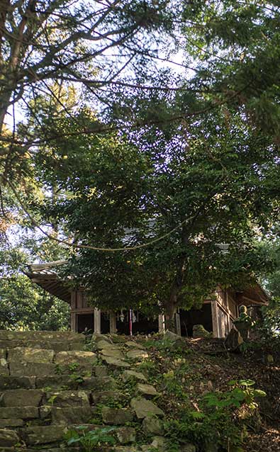 上宮前の参道から